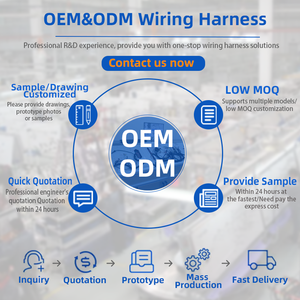 Fabricación de Arneses de Cables para Sistemas de Gestión de Baterías (BMS) Automotrices, Kits de Arneses de Cableado Personalizados para ECU, ECM, Sensores Automotrices, Fabricante de Cables - Product Image 4
