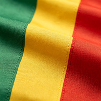 Drapeau du Mali 3x5FT (90x150cm) Imprimé Numérique Double Face en Polyester 100D, Résistant aux Intempéries, avec Œillets en Laiton, Anti-décoloration, pour Extérieur