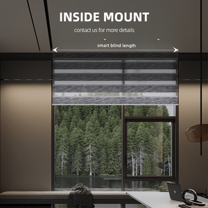 Deyi-cortinas eléctricas inteligentes para decoración del hogar, <span class=keywords><strong>doble</strong></span> capa, transparentes y a rayas, <span class=keywords><strong>con</strong></span> filtro de luz, motorizadas, cebra - Product Image 6