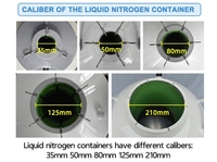 Réservoir d'azote liquide en alliage d'aluminium YDS-35-50 de 35 L, économique, pour utilisation en biobanque
