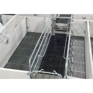 Pig Farrowing Crate High Quality 2400X1800Mm Pig Farming Pig Farming Equipment Customized Color Made In Vietnam Manufacturer