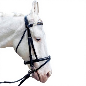 Bride de cheval en cuir de luxe sur mesure, style anglais, faite à la main, avec frontale personnalisable en couleur et taille - Cob - Full - Product Image 5