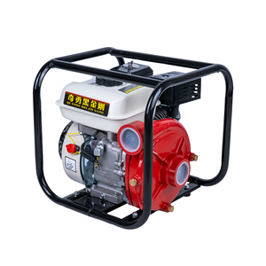 <span class=keywords><strong>Bomba</strong></span> <span class=keywords><strong>de</strong></span> <span class=keywords><strong>Agua</strong></span> <span class=keywords><strong>de</strong></span> Hierro Fundido <span class=keywords><strong>de</strong></span> Alta Presión HP20F, 70m <span class=keywords><strong>de</strong></span> Altura <span class=keywords><strong>de</strong></span> Elevación, Motor <span class=keywords><strong>de</strong></span> <span class=keywords><strong>Gasolina</strong></span>, Arranque Eléctrico <span class=keywords><strong>de</strong></span> 2 Pulgadas, <span class=keywords><strong>para</strong></span> Riego Agrícola - Product Image 3