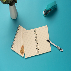 Cuaderno de alta calidad, barato, punteado/rejilla/líneas/blanco, transparente, Pp, escolar, tapa dura, B5, A5, <span class=keywords><strong>A6</strong></span>, espiral - Product Image 6