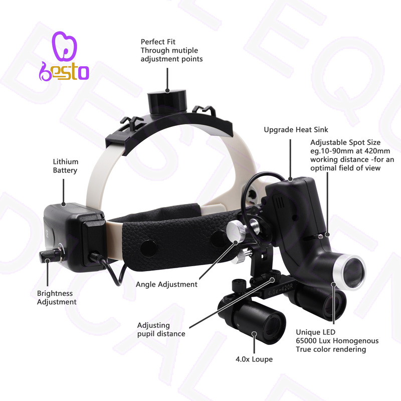 Dental Loupes Adjustable LED Light 4X