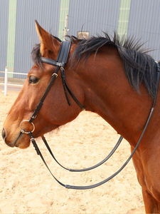Ensemble complet de haute qualité fournitures équestres PVC Nylon rênes d'<span class=keywords><strong>eau</strong></span> bouche cheval mâcher haut Western circonférence licou pour la course - Product Image 2