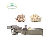 Hotsale QXJ Commerciële Groente- en Fruitwasmachine Industriële Belletjeswasser SUS304 RVS Motor-aangedreven Sojabonen Mais