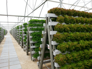 Système de culture hydroponique NFT le plus professionnel et personnalisable Pompe à canal agricole vertical Composant de noyau Fournisseur direct - Product Image 5