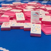 Tuiles de Mahjong en Mélamine Acrylique Modernes de Luxe Miss Cowgirl, Logo Personnalisé, Ensemble Américain 3 Couches Miss Mahjong