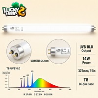 LuckyHerp T8 14W UVB10 Lampe Spirale Classique en Verre pour Reptiles Écologique Intérieur Toutes Saisons 15in JX-FL8T3605