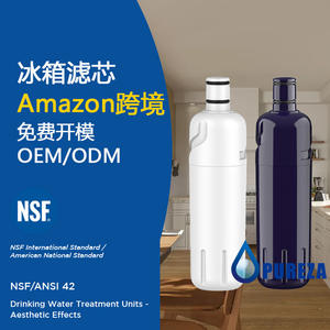 Filtre à eau pour réfrigérateur Bi Chun EDR2RXD1 Z005 Charbon de coque de noix de coco Installation facile OEM ODM transfrontalier - Product Image 1