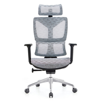Chaise de bureau exécutive en maille respirante, design ergonomique, soutien lombaire fixe, style moderne, base chromée, garantie 3 ans pour le bureau à domicile