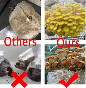 Sacos de Cultivo de Plástico Personalizados para Cogumelos com Filtração de 0,2 e 0,5 Microns - Product Image 5