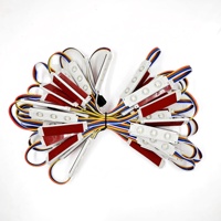 Module LED RGBW 1W 12V DC avec télécommande et adaptateur, 8m (26ft) pour décorations intérieures, Noël, Halloween, certifié IP65