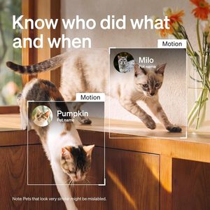 Caméra pour animaux de compagnie PETLIBRO, intérieur, 1080P, surveillance intelligente IA pour chiens et chats, avec application, reconnaissance multi-animaux, détection de mouvement - Product Image 2