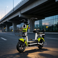 Vélo électrique adulte à double siège avec panier avant, fourni par l'usine, vélo électrique à 2 roues économique pour les trajets quotidiens