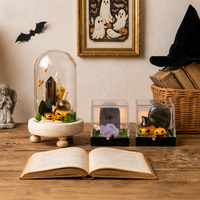 Pierre brute de cristal naturel, Ornement de mine de cristal naturel pour Halloween, Décoration de colonne, Décoration de fête, Cadeau éducatif pour enfants