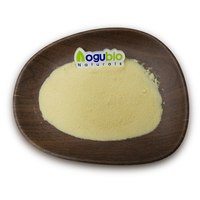 Polvo de Plátano Deshidratado Puro a Granel, Polvo de Fruta Natural Secado por Aspersión, Grado Alimenticio OEM/ODM