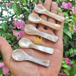 Cuillère moderne écologique en nacre 9x1cm – Meilleures ventes – Coquillages de capiz – Matériau naturel – Décoration – Articles de service – Origine Vietnam - Product Image 6