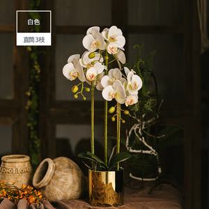 Orchidea di tocco reale del ramo del gambo del fiore artificiale dell'orchidea della farfalla di stampa 3D di alta qualità <span class=keywords><strong>In</strong></span> <span class=keywords><strong>vaso</strong></span> dorato - Product Image 4