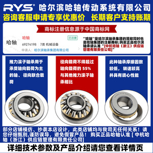 Rodamientos de Rodillos Axiales RYS 29317 29318 29320 29322 29324 P5 de Precisión para Uso Industrial - Product Image 2
