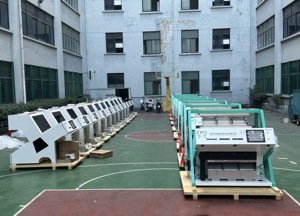 Photo Separator For <strong>Garlic</strong> Colour <strong>Sorting</strong> <strong>Machine</strong> In <strong>Sorting</strong> Unpeeled And Black <strong>Garlic</strong> In <strong>Garlic</strong> Processing Line - Product Image 4