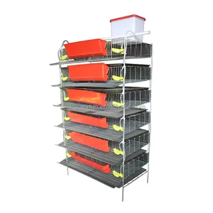 Poultry farm equipment H type layer quail cage for sale commercial quail cage automatic quail cages for egg production