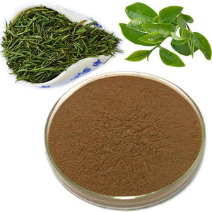 Extrato do chá verde Cianidanol Polifenóis EGCG <span class=keywords><strong>Camellia</strong></span> <span class=keywords><strong>Sinensis</strong></span> 98% Hplc - Product Image 1