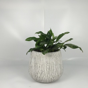 <b>Large</b> Outdoor Lightweight Fiberglass Clay Pottery Classic Stock <b>Planter</b> Flower Pot <b>Garden</b> Decoration Free Sample Shopping Mall - Product Image 5