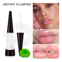 Lakerain Gloss Repulpant pour les Lèvres à l'Acide Hyaluronique et Huile de Jojoba, Hydratant, Volumisant, Haute Brillance, Longue Durée, Maquillage, Vente en Gros, OEM