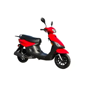 Skuter Gas EPA 49cc 50cc Motor Skuter Bensin Moped Gas Mobilitas Daya untuk Dewasa