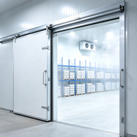 Congelador Comercial de Gran Capacidad y Almacenamiento en Frío con Alimentación CC, Refrigerante R410A, Ahorro de Energía, Habilitado para IoT, Almacenamiento a Baja Temperatura