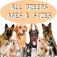 Integratori OEM e ODM per integratori biologici di vitamina per cani Senior con Logo personalizzato per animali domestici