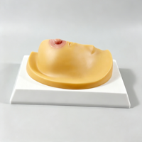 Modelo Anatómico Patológico de Seno Humano SCIEDU, Sección Transversal de Anatomía del Seno Humano, Modelo Anatómico de Seno Femenino
