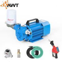 Penjualan Langsung Pabrik Cavitt Pompa Anti Ledakan 220V 750W Pompa Bensin Elektrik dengan Berbagai Nozel Bahan Bakar