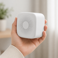 Machine à bruit blanc pour le sommeil, rechargeable, portable, longue autonomie, batterie 500 mAh, veilleuse, thérapie du sommeil pour enfants et adultes, santé