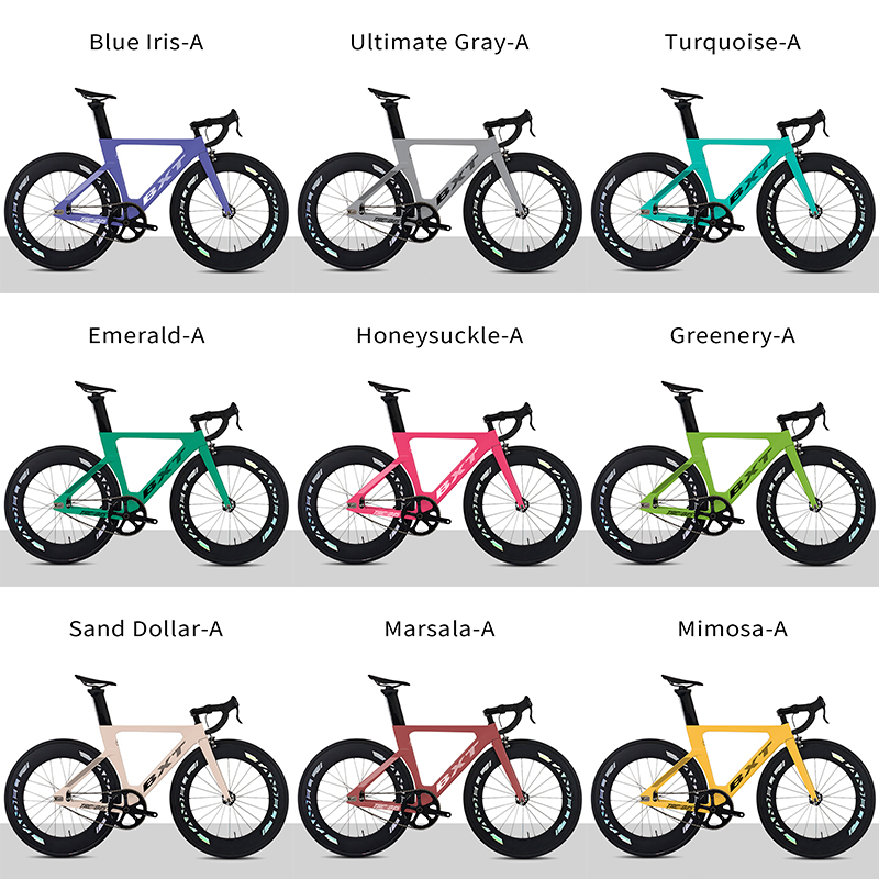Pantone Multicolor-A