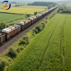 <span class=keywords><strong>Transport</strong></span> ferroviaire DDP pour marchandises surdimensionnées, manutention de marchandises dangereuses, livraison porte-à-porte, double dédouanement (taxe incluse) mondial - Product Image 6