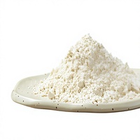Poudre de Naringine d'Extrait d'Eau Pure Sans Solvant Qualité Alimentaire Extrait de Zeste de Pamplemousse pour Mélanges de Vitamines