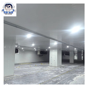 Tủ đông đi bộ lớn với khả năng tương thích đóng băng xoắn ốc và thiết bị bay hơi trục luồng khí cao cho các cơ sở sản xuất bữa ăn sẵn sàng - Product Image 5