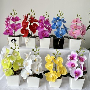 Planta Artificial en Maceta de Orquídea Phalaenopsis de 25 cm de Meiyu Craft Flower Factory, Decoración de Escritorio Ligera, Adorno para el Hogar - Product Image 1