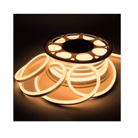 Luce al Neon flessibile durevole impermeabile impermeabile flessibile della luce di striscia al Neon