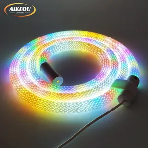 Binnenverlichting Netvormige Lampen Decoratie Ronde Flex Led Neon Verlichting