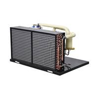 Unité de compresseur à ciel ouvert Ruitong RT-5-1, conception modulaire, refroidisseur de fruits de mer, bassin à poissons, personnalisable, 220V 1.5 HP, compresseur sur mesure