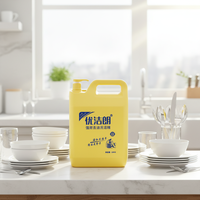 Détergent liquide vaisselle jetable écologique personnalisé en gros 10KG pour la restauration, nettoyant de cuisine avec 5%-15% d'ingrédients actifs