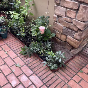 Bordure de pavés en plastique PE Sunsbuild Landscape, résistante à l'eau, avec attaches cachées, décoration de jardin - Product Image 6