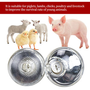 100W 150W 200W 250W <span class=keywords><strong>Lampe</strong></span> <span class=keywords><strong>chauffante</strong></span> pour animaux <span class=keywords><strong>Lampe</strong></span> <span class=keywords><strong>chauffante</strong></span> vétérinaire Poussins Volaille <span class=keywords><strong>Lampe</strong></span> <span class=keywords><strong>chauffante</strong></span> pour poulets - Product Image 5