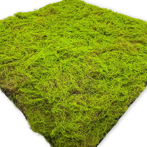 โรงงานจีนขายส่งหญ้าเทียมน้ำหนักเบาเป็นมิตรกับสิ่งแวดล้อม ผ้ามอสเทียมคุณภาพสูง ใช้ได้ทั้งภายในและภายนอกอาคาร - Product Image 5