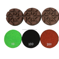 PanGu PG OEM ODM Chine Haute Qualité 3 Pouces Résine Diamantée Fine Granulométrie 50 # -3000 #   Disques de polissage en béton pour ponceuse à sol