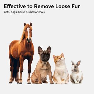 Brosse de toilettage pour chats et chiens 2026 : Élimine les poils lâches pour chats, chiens et lapins à poils longs/courts – Nos produits les plus vendus - Product Image 2